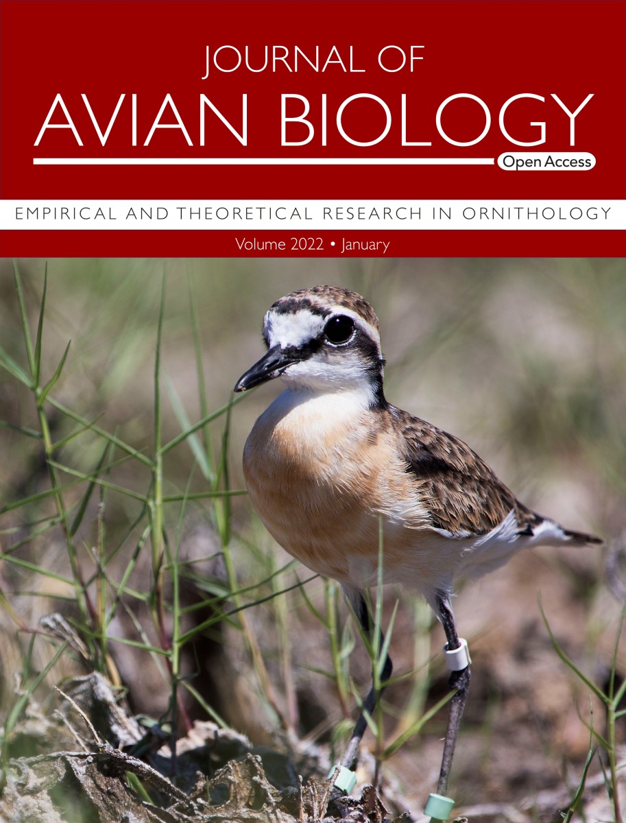 Avian Biology